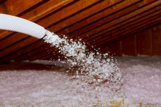 Best Wall Insulation Contractor  in Orono, MN