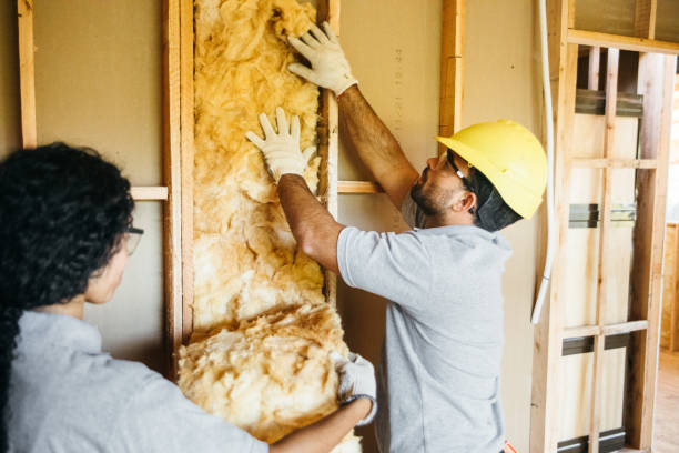 Best Insulation Removal Services  in Orono, MN
